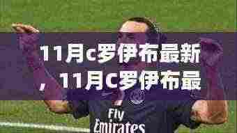 揭秘C罗伊布在足球世界的最新动态,11月崭新篇章开启