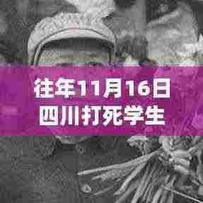 四川往年11月16日学生死亡事件最新进展深度解析与探讨