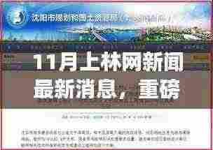 小红书揭秘，上林网新闻11月最新消息全解析重磅出炉