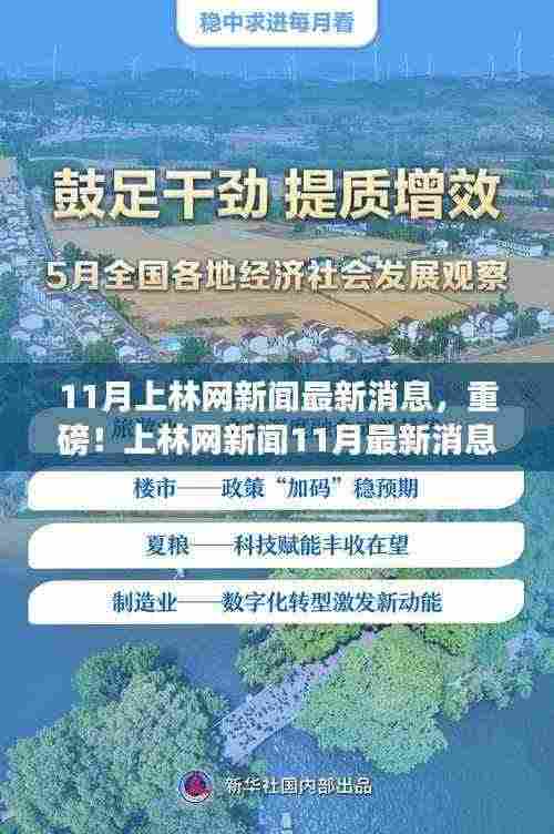 小红书揭秘,上林网新闻11月最新消息全解析重磅出炉