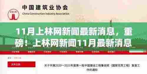 小红书揭秘,上林网新闻11月最新消息全解析重磅出炉