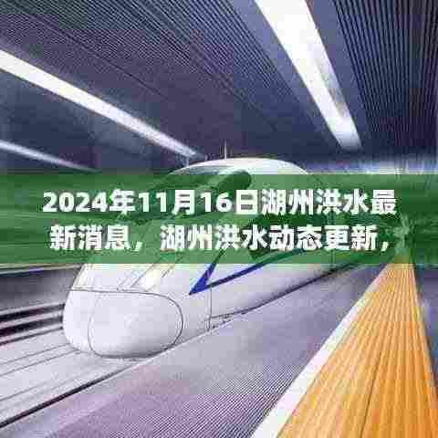 湖州洪水动态更新,观察与思考