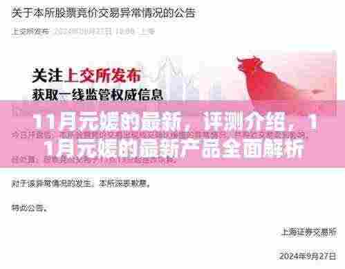 11月元媛最新产品全面评测与介绍