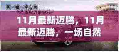 11月最新迈腾,自然美景探索之旅,追寻内心的宁静与平和