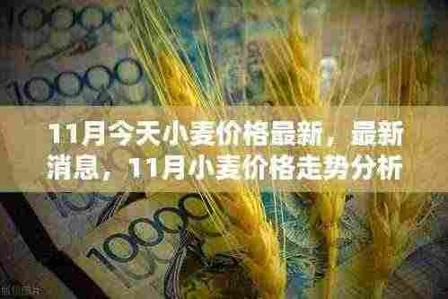 11月小麦价格走势分析,最新消息与预测