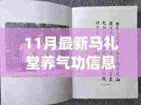 十一月马礼堂养气功新动态，拥抱变化，自信闪耀时光