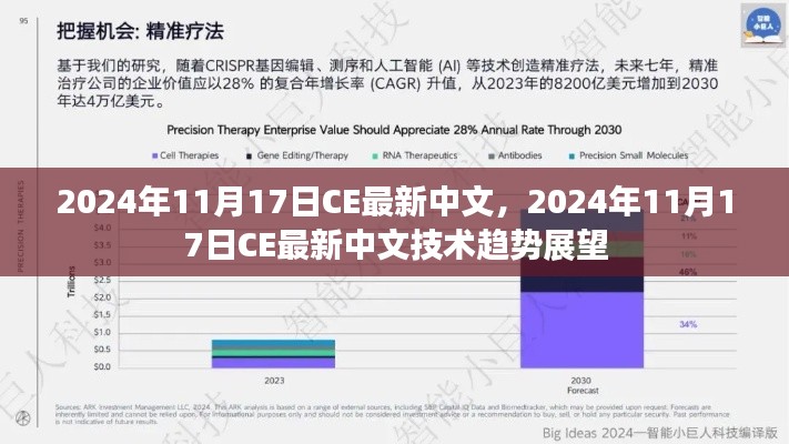 2024年11月17日CE最新中文技术趋势展望