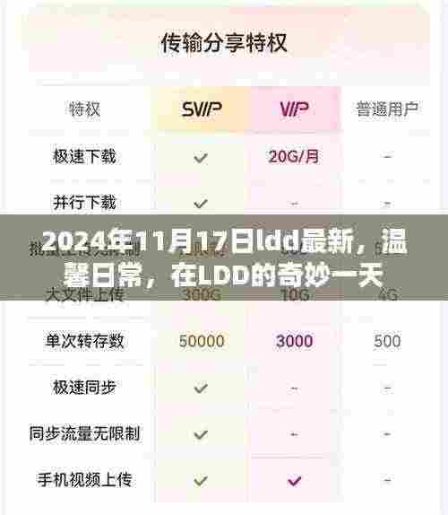 新闻中心 第965页