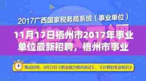梧州市事业单位招聘盛启,最新招聘深度解析与职场新星招募(11月17日)