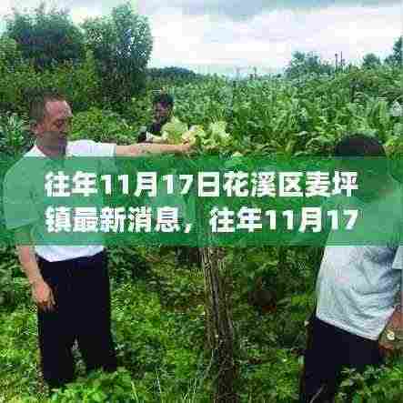 花溪区麦坪镇发展动态深度解析,最新消息与趋势分析(往年11月17日)