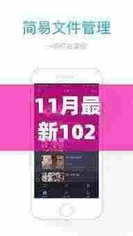 11月版1024手机在线播放教程,从初学者到进阶用户的详细步骤指南