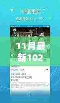 11月版1024手机在线播放教程,从初学者到进阶用户的详细步骤指南