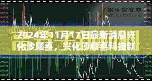 兴化沙顺喜科技新品揭秘,未来生活触手可及,前沿科技魅力体验