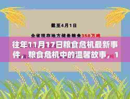 往年11月17日粮食危机中的温馨故事与收获，危机中的友情与希望之光