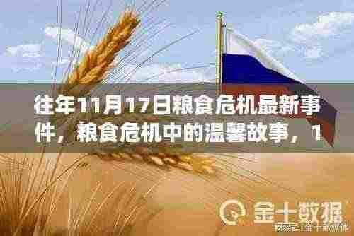 往年11月17日粮食危机中的温馨故事与收获,危机中的友情与希望之光