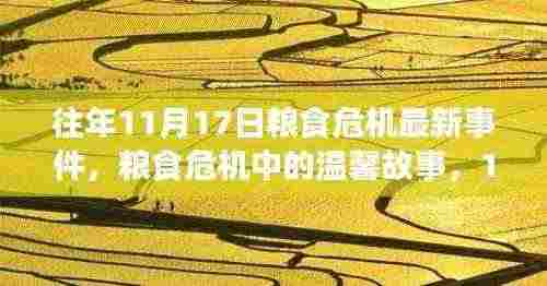 往年11月17日粮食危机中的温馨故事与收获,危机中的友情与希望之光