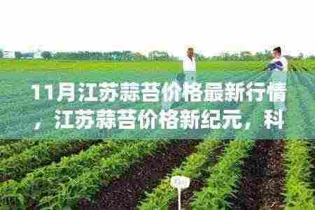 江苏蒜苔价格新纪元,科技引领智能市场行情的变革