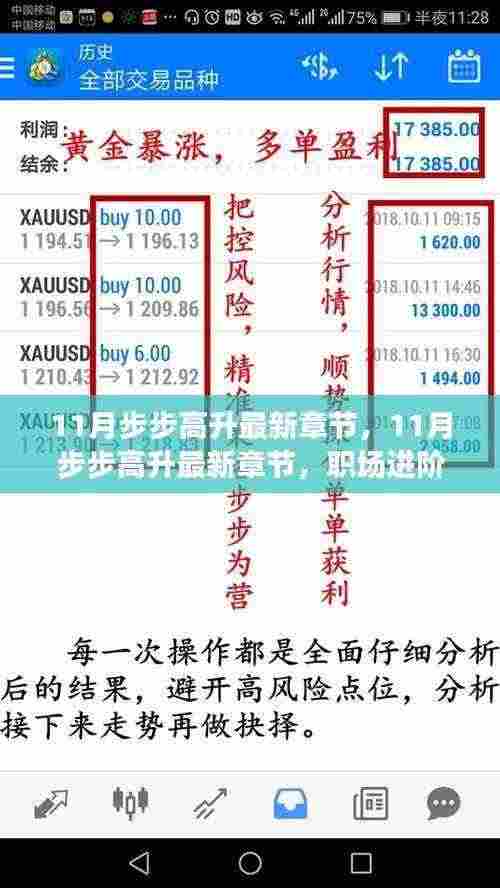 职场进阶手册,11月步步高升,开启上升通道新篇章