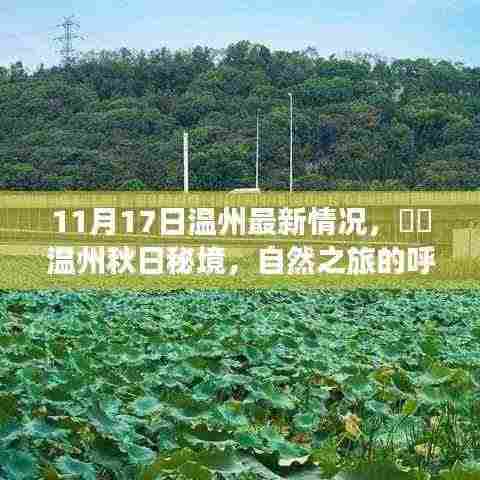 富贵不能淫 第8页