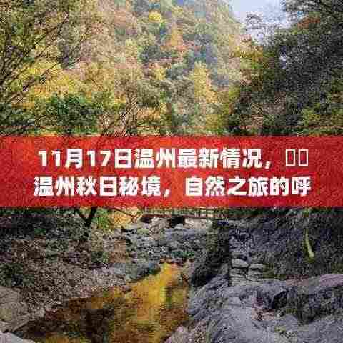 温州秋日秘境,最新动态与心灵自然之旅的呼唤