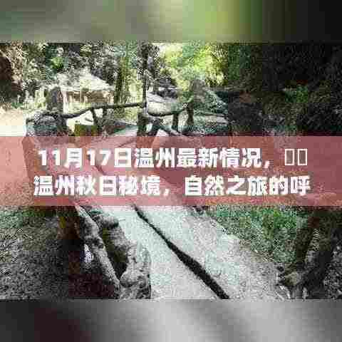 温州秋日秘境,最新动态与心灵自然之旅的呼唤