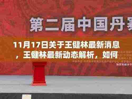 王健林最新动态解析,获取与分析其最新消息的途径与解读方法