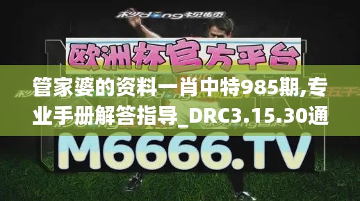 管家婆的资料一肖中特985期,专业手册解答指导_DRC3.15.30通玄境