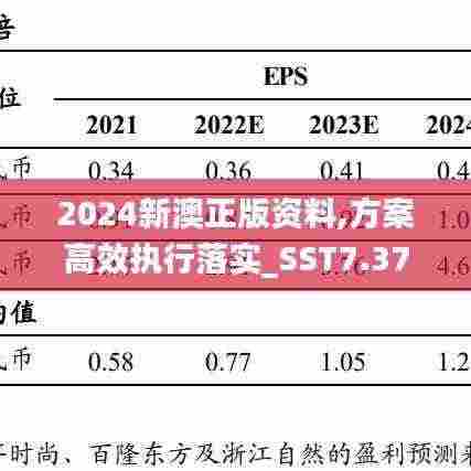 2024新澳正版资料,方案高效执行落实_SST7.37.59网红版