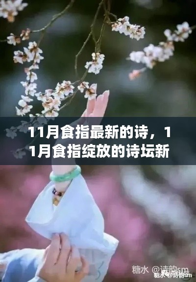 11月食指新星闪耀诗坛,探索最新诗篇的韵味与魅力