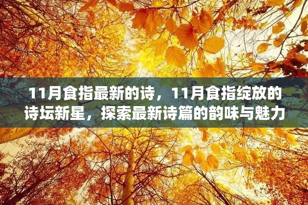 11月食指新星闪耀诗坛,探索最新诗篇的韵味与魅力