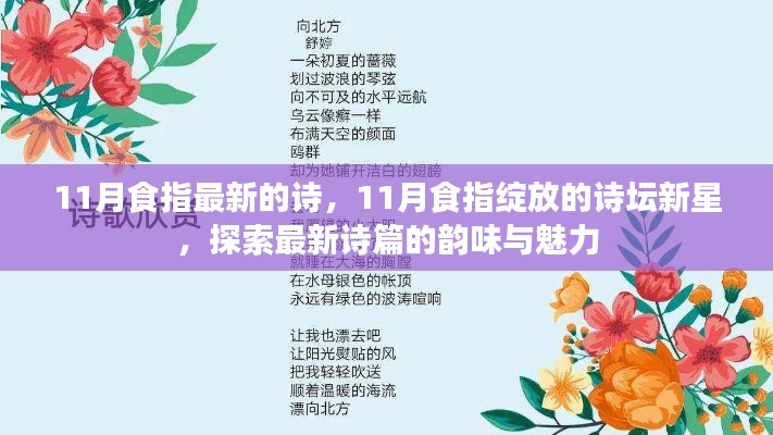 11月食指新星闪耀诗坛,探索最新诗篇的韵味与魅力