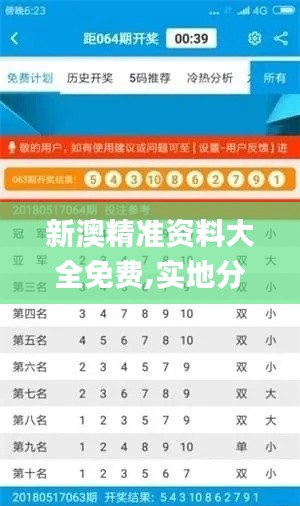 新澳精准资料大全免费,实地分析验证数据_AFS8.52.48简易版
