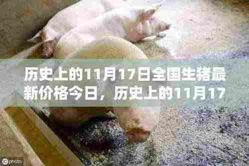 历史上的11月17日全国生猪最新价格概览今日动态分析
