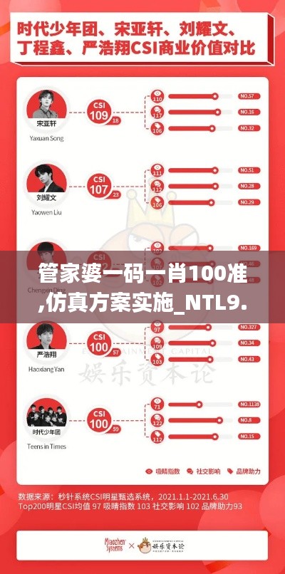 管家婆一码一肖100准,仿真方案实施_NTL9.61.82电商版