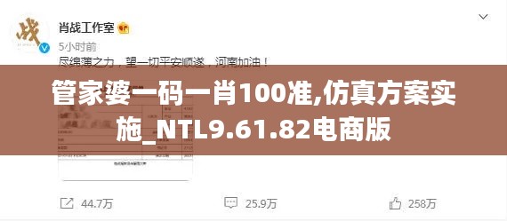 管家婆一码一肖100准,仿真方案实施_NTL9.61.82电商版