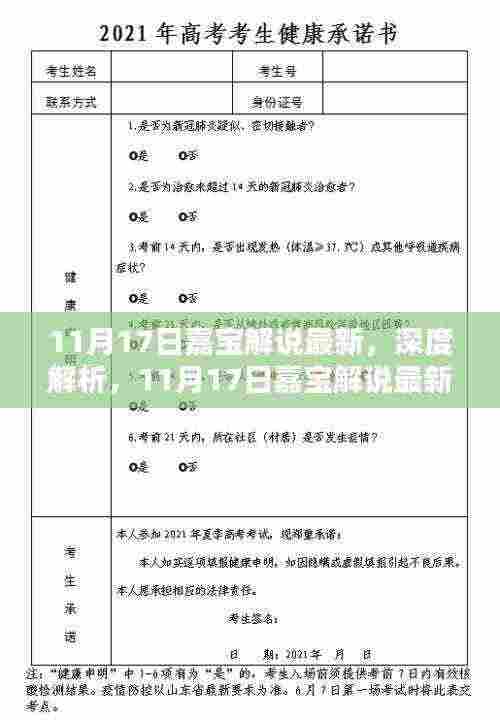 11月17日嘉宝解说最新产品深度解析与评测介绍