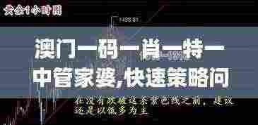 澳门一码一肖一特一中管家婆,快速策略问题解决_RPA7.45.47四喜版