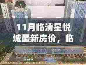 临清星悦城11月房价揭秘,最新动态与趋势分析