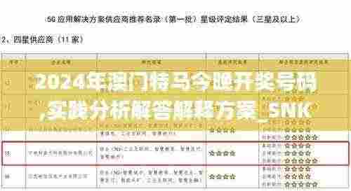 2024年澳门特马今晚开奖号码,实践分析解答解释方案_SNK5.35.87解密版