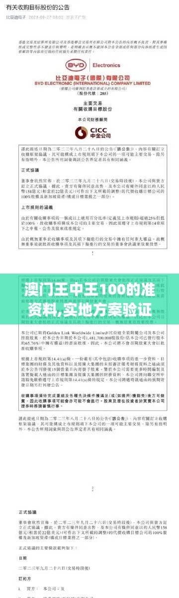 澳门王中王100的准资料,实地方案验证_NLB9.29.28解放版