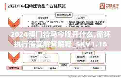 2024澳门特马今晚开什么,循环执行落实解答解释_SKV1.16.59儿童版