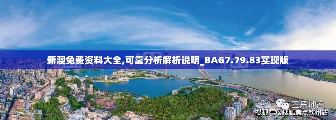 新澳免费资料大全,可靠分析解析说明_BAG7.79.83实现版