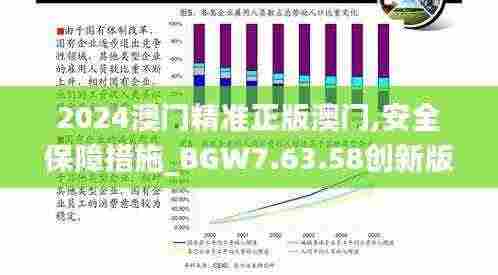 2024澳门精准正版澳门,安全保障措施_BGW7.63.58创新版