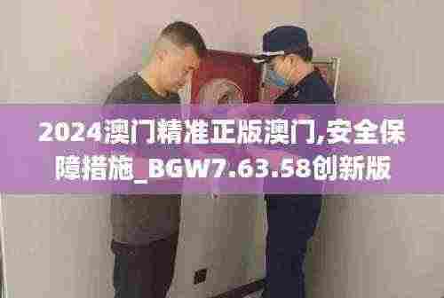 2024澳门精准正版澳门,安全保障措施_BGW7.63.58创新版