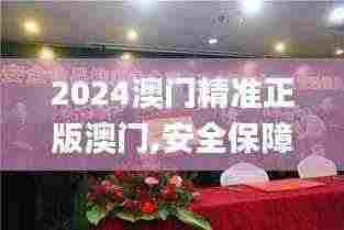 2024澳门精准正版澳门,安全保障措施_BGW7.63.58创新版