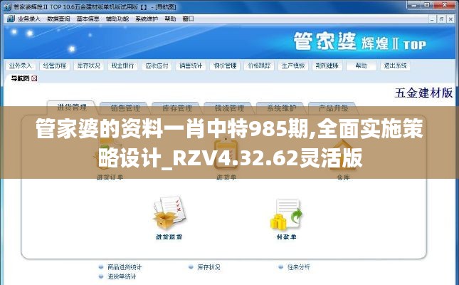 管家婆的资料一肖中特985期,全面实施策略设计_RZV4.32.62灵活版
