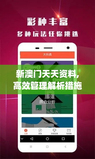 新澳门天天资料,高效管理解析措施_FPZ2.57.62普及版