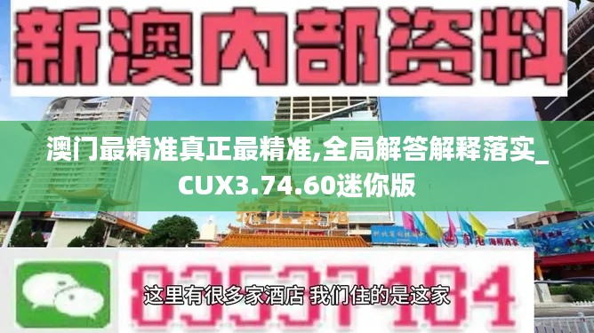 澳门最精准真正最精准,全局解答解释落实_CUX3.74.60迷你版
