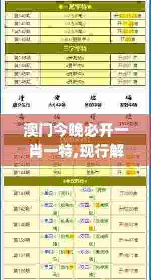 澳门今晚必开一肖一特,现行解答解释落实_NEX6.29.39多功能版