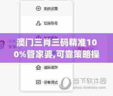 澳门三肖三码精准100%管家婆,可靠策略操作方案_BZD5.48.63先锋实践版